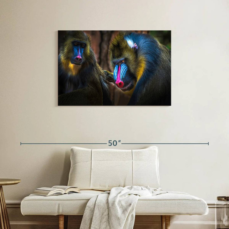 Two Mandrill Monkeys, 24" H x 36" W