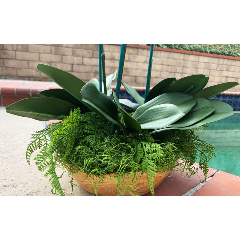 Orchidées florales, Blanc, H 34 po x l 14 po x P 14 po