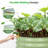 Muffin 16.7" Tall Metal Raised Garden Bed-75187772