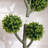 Artificial Boxwood Topiary in Pot