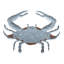 Décoration murale 3D en bois et crabe de mer galvanisé