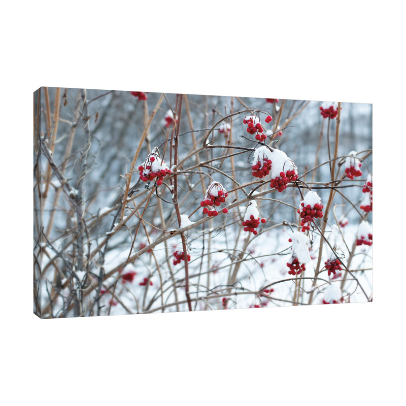 «Berries in Winter» par Sue Schlabach - reproduction d'art sur toile tendue, H 28 po x l 42 po x P 1,5 po