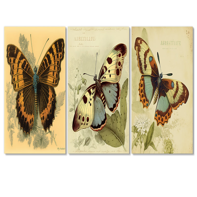 Illustration rétro de papillon II, 3 pièces, H 28 po x l 36 po x P 1 po