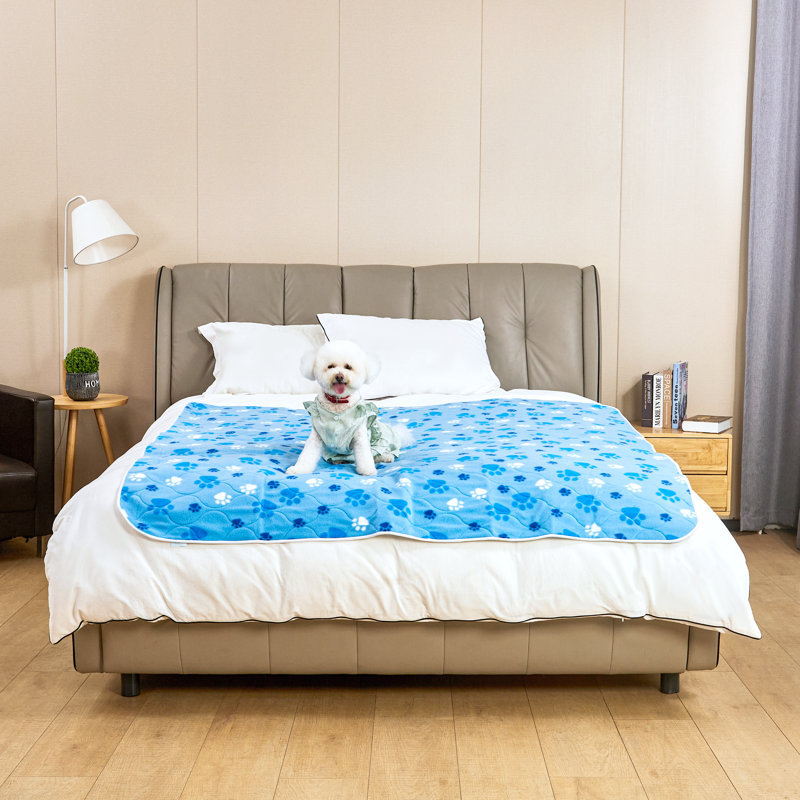 Geometric Polyester Pet Bed, Light Blue