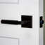 Viaggio Quadrato Rosette Privacy (Bed & Bath) with Contempo Lever-1710024653-1710024654-1710024655