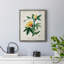 Toile encadrée de qualité supérieure Turpin Tropical Botanicals VI - prête à être accrochée-1674340682-1674340725
