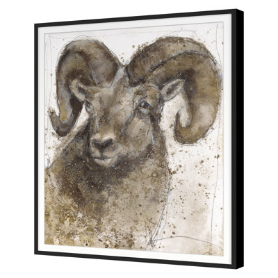 Bighorn Sheep 1 Print by Maeve Harris