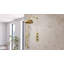 Pomme de douche 8 po Levantine, laiton brossé-121869658