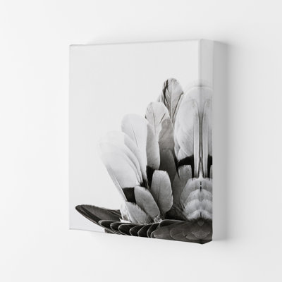 Feathers by Victoria Frost - Print