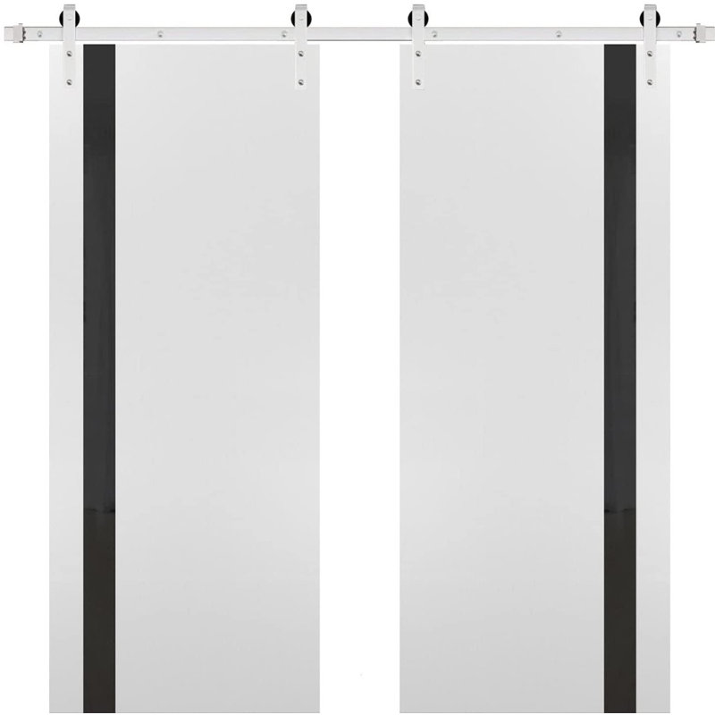 Porte de grange double robuste avec | Planum 0040 noir mat avec verre blanc | Ensemble de 13 cintres lourds pour rail | Portes intérieures à panneau plein - Rail argenté