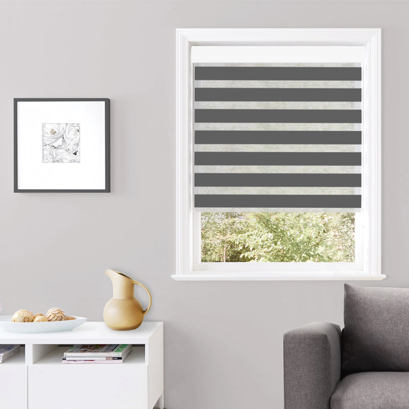 Store à enroulement semi-transparent Robbe, l 33 po x L 84 po, gris