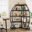 176cm H x 72.1cm W Metal Corner Bookcase