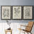 " Antique Black And White Botanical VII " 3 - Pieces-408395205-408395207