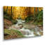 Forêt, cascade, arbres jaunes - reproduction de photo-1185076777-1113129306-1159866416