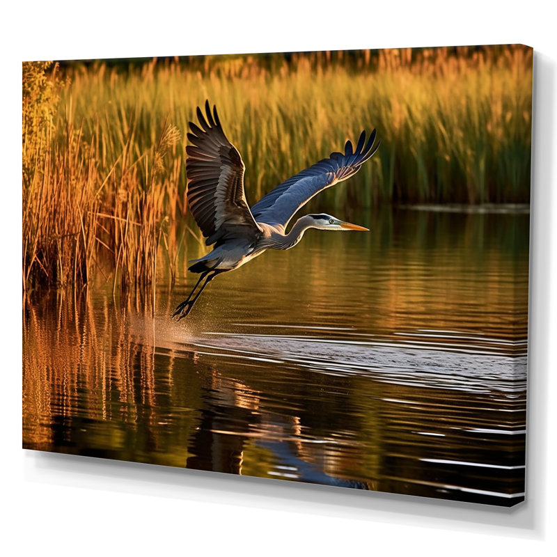 Heron In Delaware Lakes sur impression sur toile, H 12 po x l 20 po x P 1 po, Toile tendue