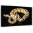 Brampt Female Python Snake-108706512