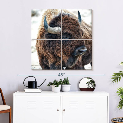 Brampt In The Presence Of Bison