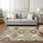  Malchow Area Rug-1455279645