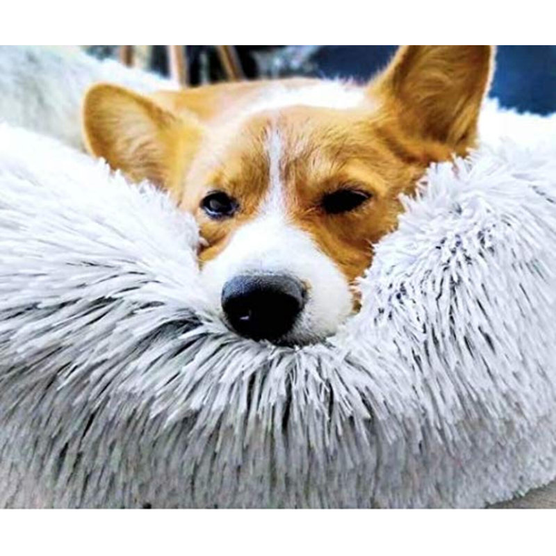 Jaiden Orthopedic Fleece Pet Bed, 50cm W x 50cm D, Grey