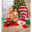 Oreiller de soutien Candy Cane