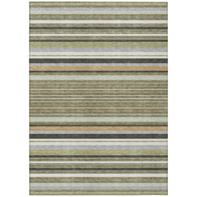 Machine Washable Indoor/Outdoor Chantille ACN2330 Stripes Rug