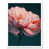 White Framed Paper