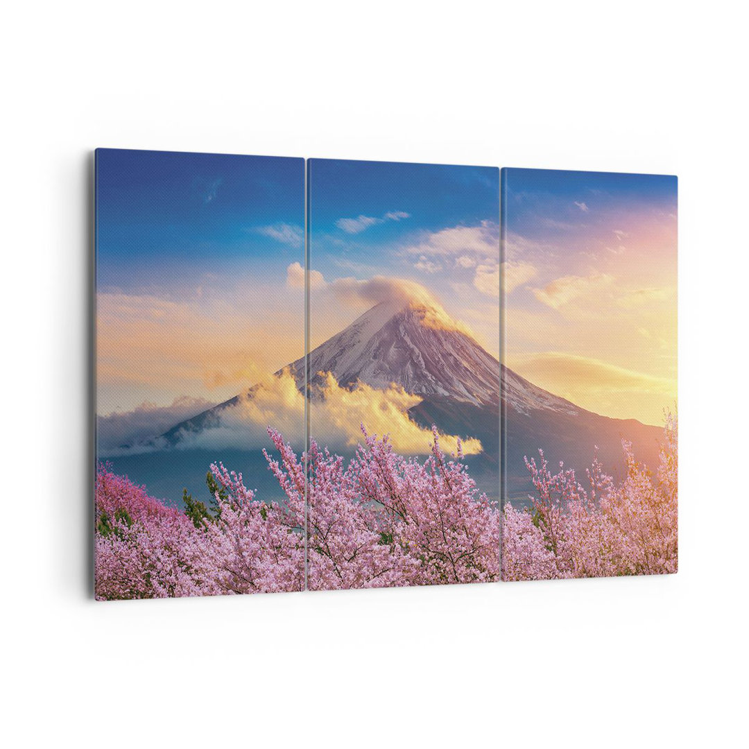 3-tlg. Leinwandbilder-Set Fuji Flower Cherry