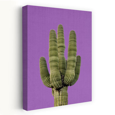 Art contemporain contemporain avec plante grasse