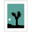 Joshua Tree Dance 4 by Christopher Kennedy