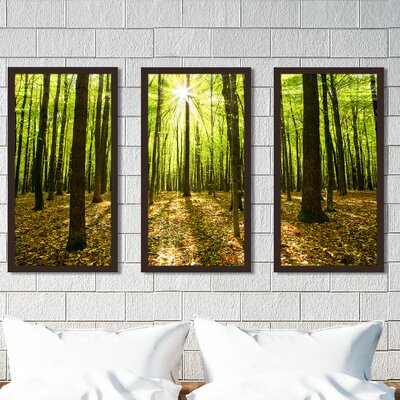 Blinded by the Light - 3 Piece Picture Frame Photograph Print Set on Acrylic -  Picture Perfect International, 704-2088-1224