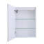 W H Medicine Cabinet Mirror