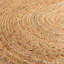Allanna Jute / Sisal Braided Area Rug-1353536802