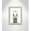 Le lapin est courage-48163492-48169697