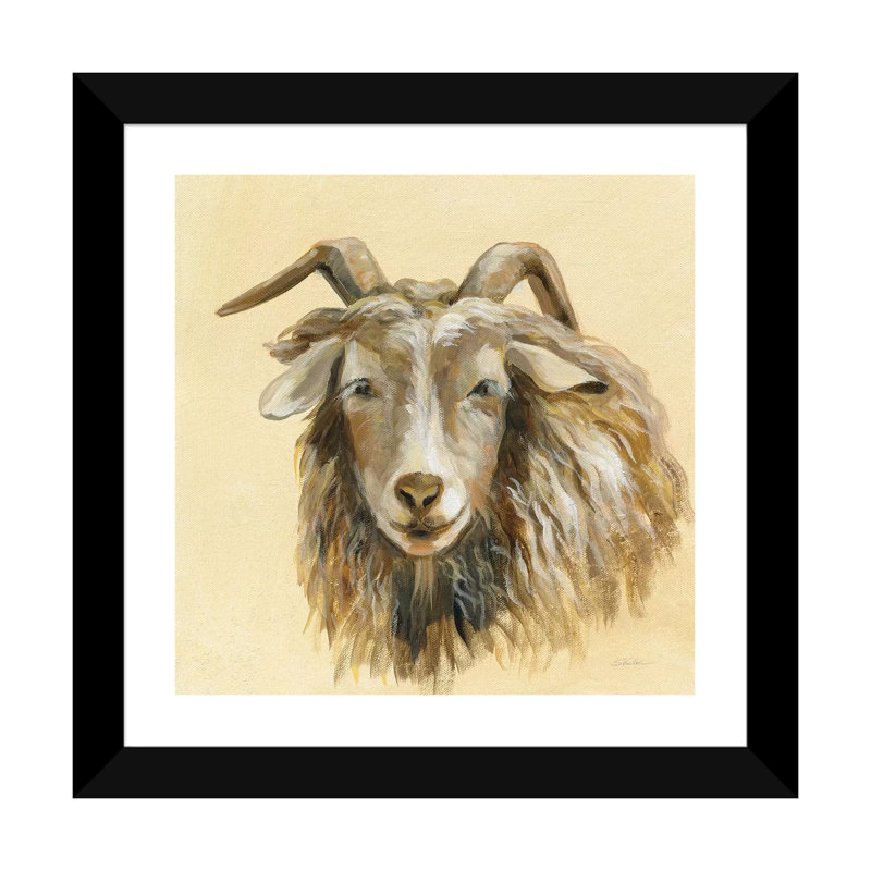 Highland Animal Sheep par Silvia Vassileva - reproduction d'art, H 24 po x l 24 po x p 1 po, Papier encadré noir, Blanc