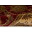 Trinity Wool Oriental Area Rug in Red/Gold/Army