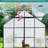 8X8 Ft Greenhouse With Galvanized Base - Planting Heavy Duty Blocking All Season-124311228