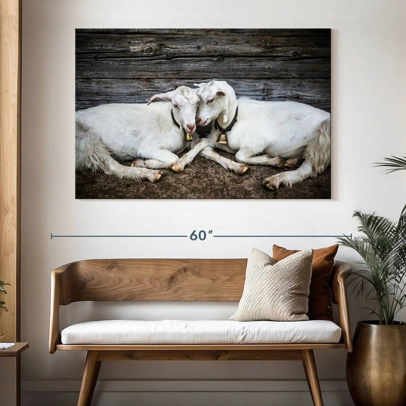 Brampt Goat Love, 34" H x 51" W
