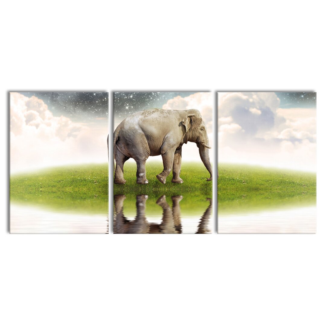 3-tlg. Leinwandbilder-Set Starry Sky and Elephant