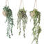 27.6'' Faux Topiary in Wicker/Rattan Basket