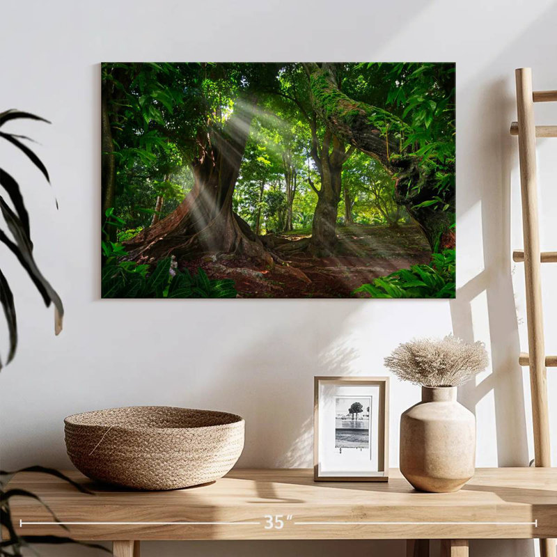 Forêt tropicale ensoleillée Alvord, H 16 po x l 24 po