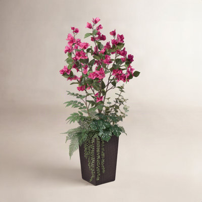 Adcock 48" Bougainvillea Tree in Planter