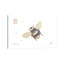 «B Is for Bee» - impression-52819234-52819225-52819231