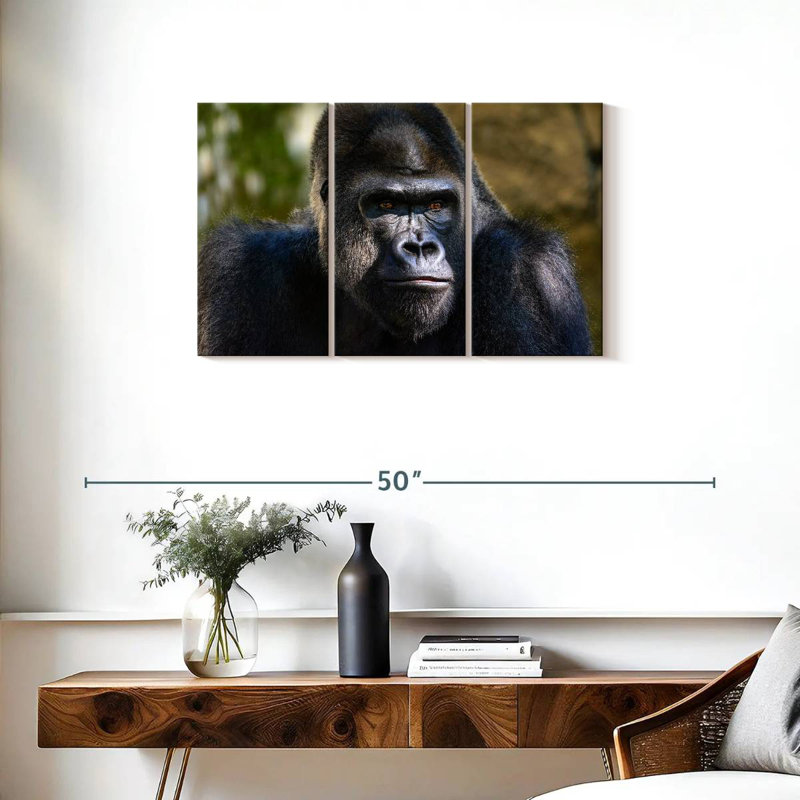 Mountain Gorilla, 20" H x 33" W