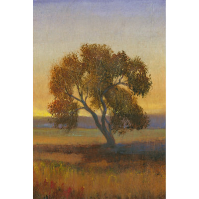 Firelight I by Tim OToole - Wrapped Canvas Painting