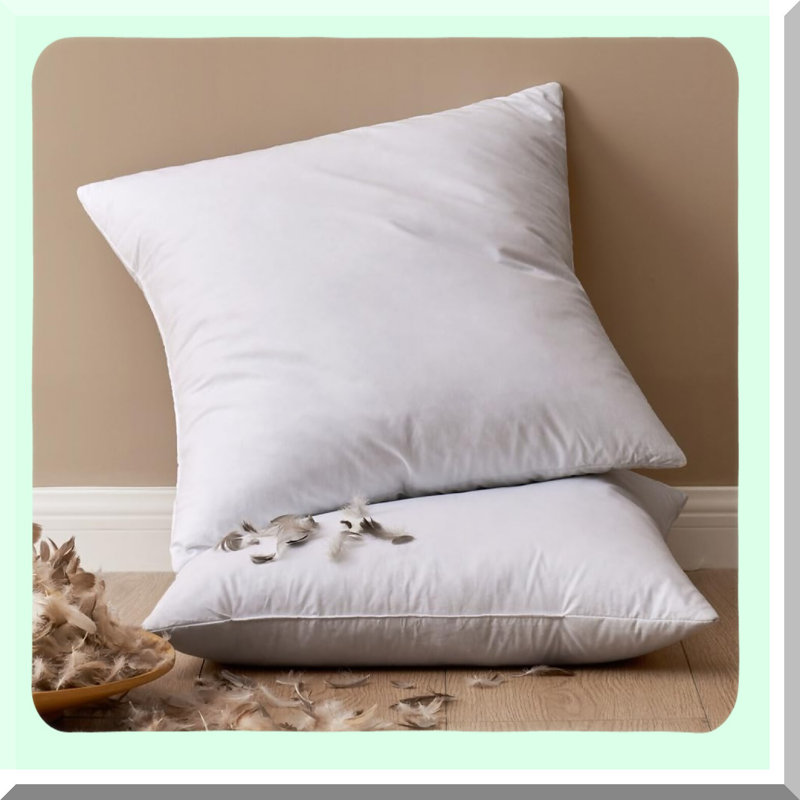 Fluffy Throw Pillow Inserts - Pack of 2 for Living Room Sofa Bed - Decorative Down Pillows - Fluffy Cushion Inserts