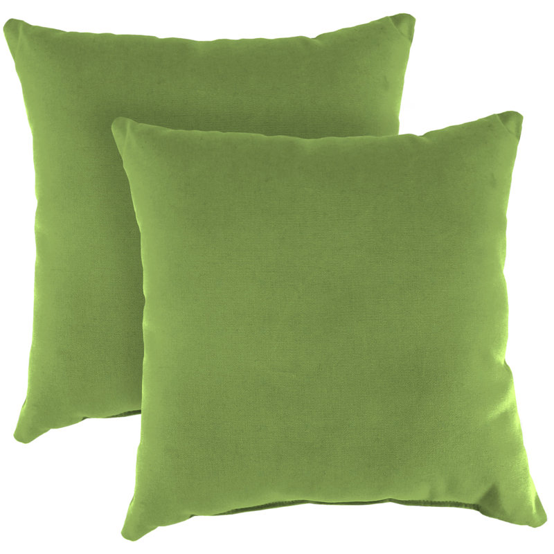 Sunbrella Outdoor Throw Pillow, Canvas Ginko Rain Sunbrella® Canvas