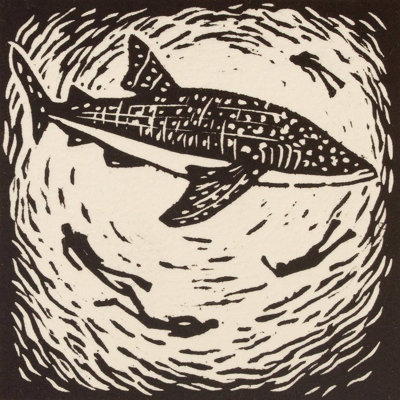 Suspension murale requin de baleine