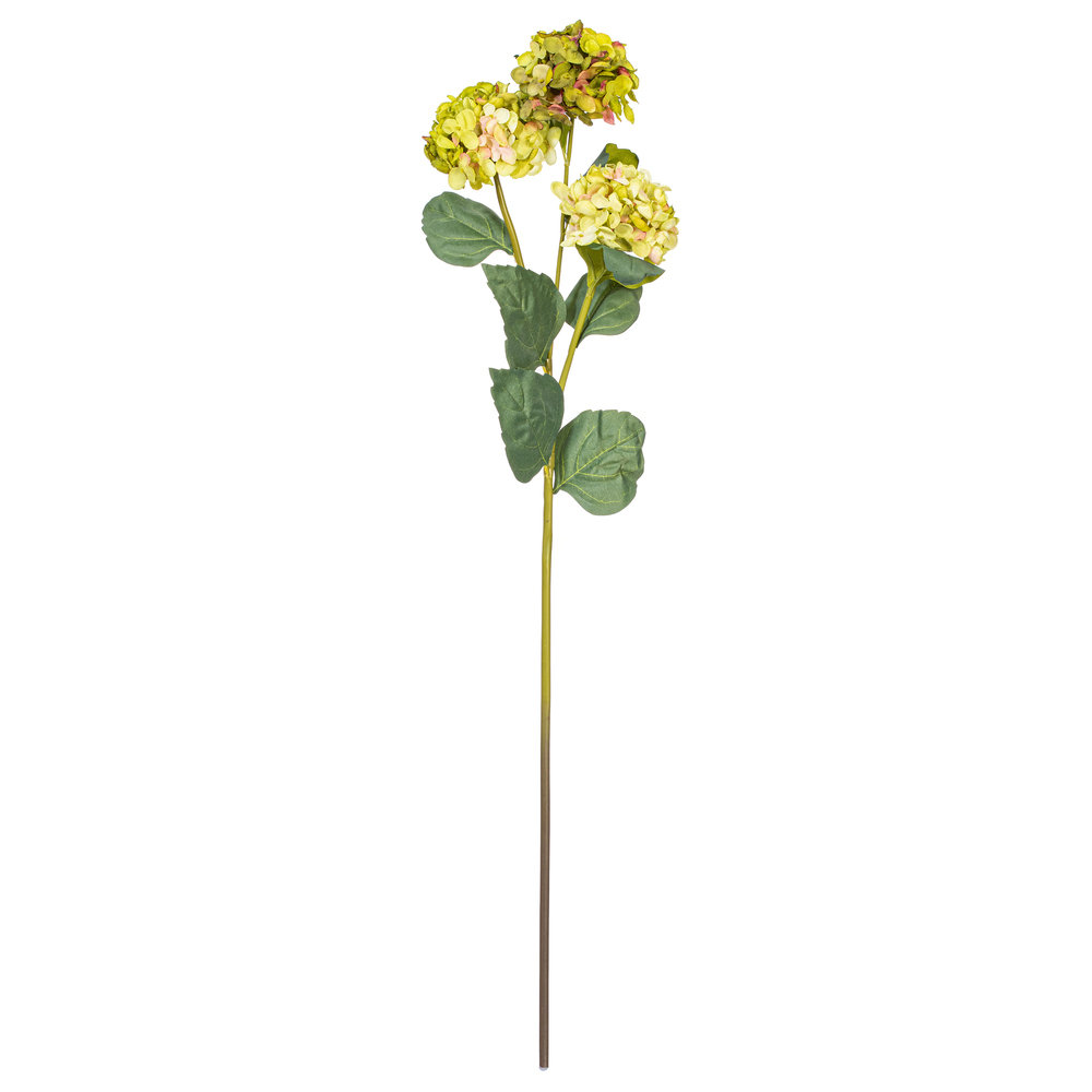 Ranbir Hydrangea Stems, Green