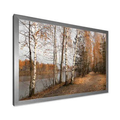 Automne, forêt de bouleaux au bord du lac - art mural traditionnel sur toile