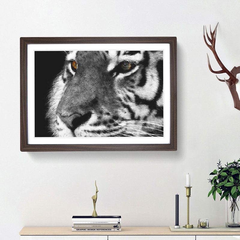 Eyes of the Tiger - Picture Frame Graphic Art Print, 62cm H x 87cm W x 2cm D, Walnut Framed
